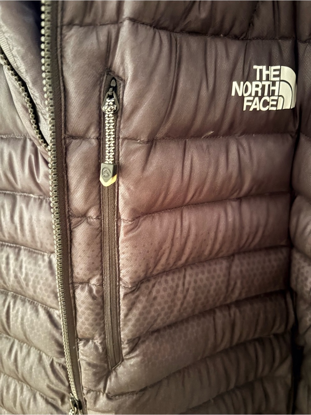 The North Face Summit Series hooded down parka